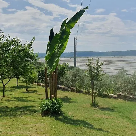 Διαμέρισμα Laurus