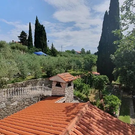 Laurus Πορτορόζ