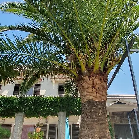 Apartamento Laurus *