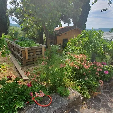 Appartamento Laurus