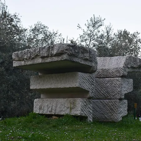 Laurus