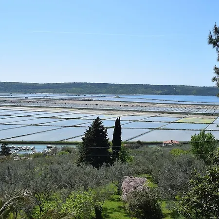 Διαμέρισμα Laurus Πορτορόζ