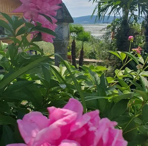 Διαμέρισμα Laurus *