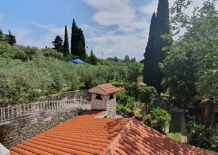 Laurus Πορτορόζ