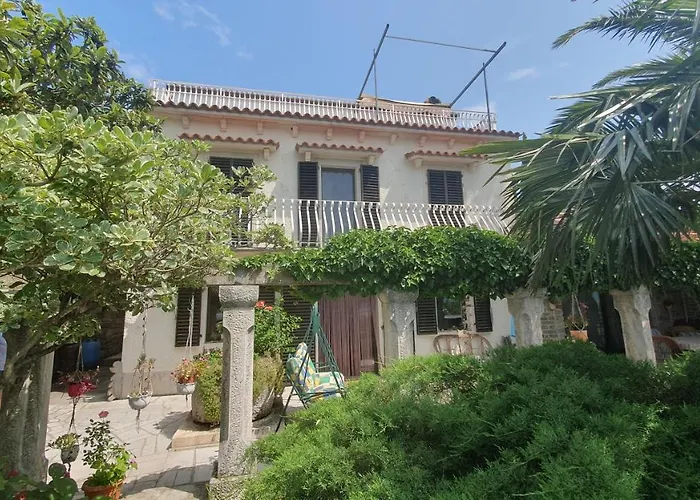 Laurus * Πορτορόζ