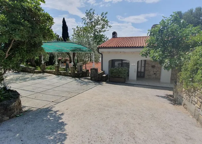 Laurus * Πορτορόζ