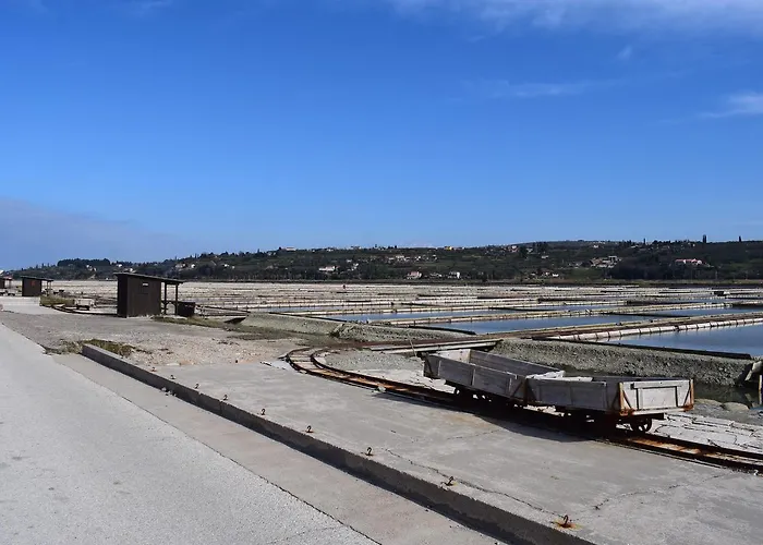 Laurus Διαμέρισμα Πορτορόζ