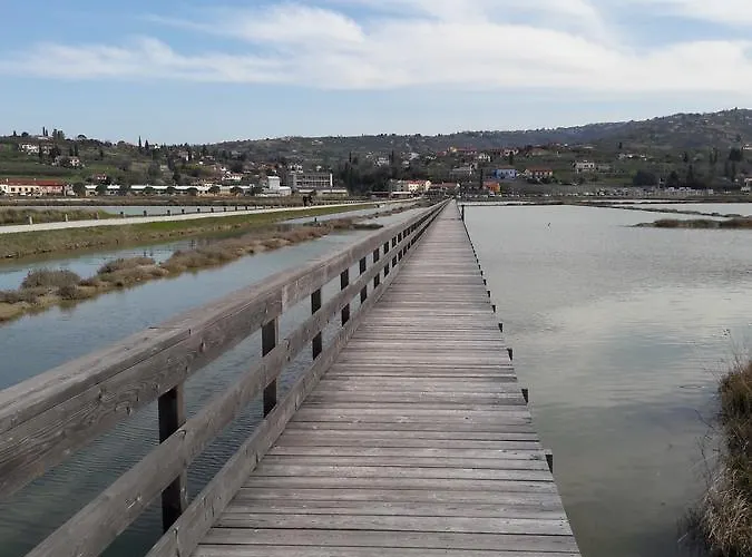 Laurus Πορτορόζ