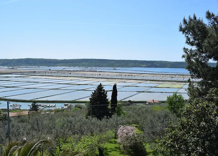 Διαμέρισμα Laurus Πορτορόζ