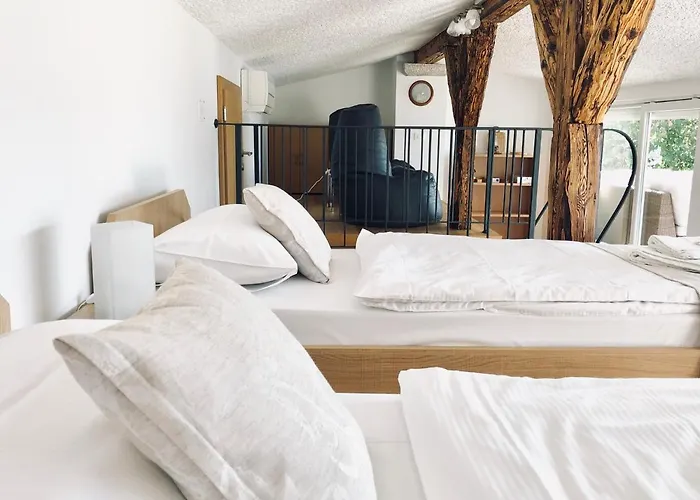 Laurus * Πορτορόζ